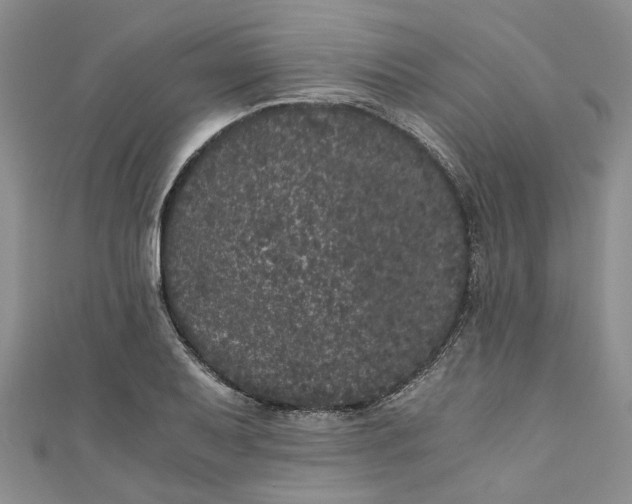 X0000110871079200907021431