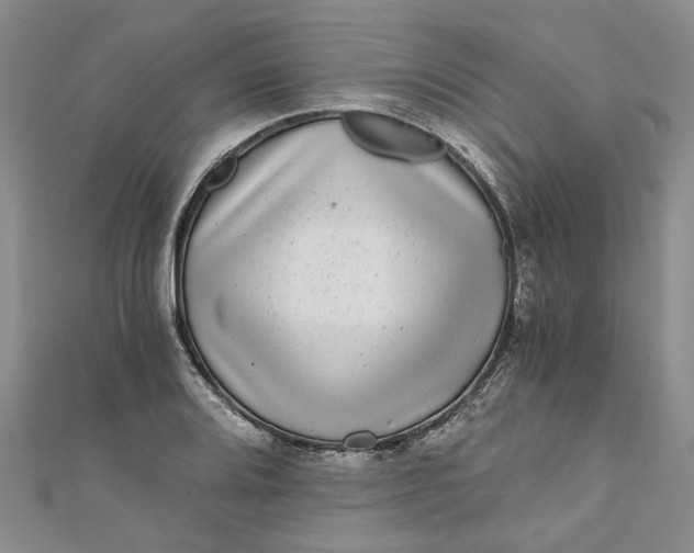 X0000110871080200907021431