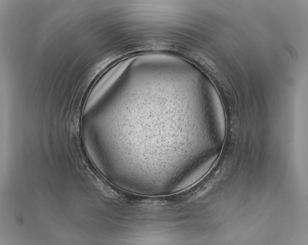 X0000110871081200907021431