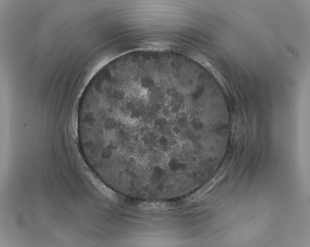 X0000110871083200907021431