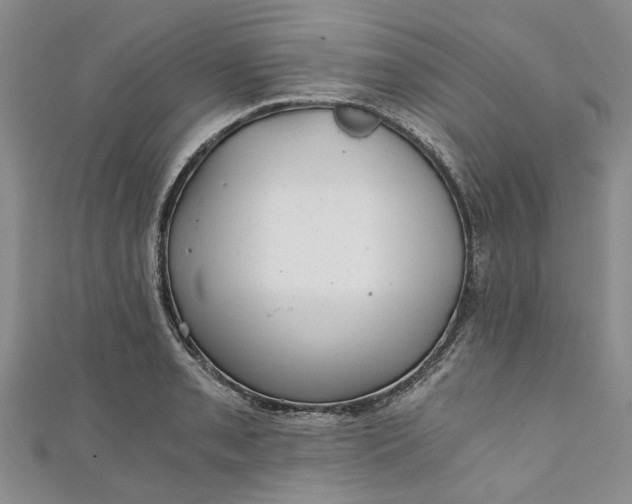 X0000110871085200907021431