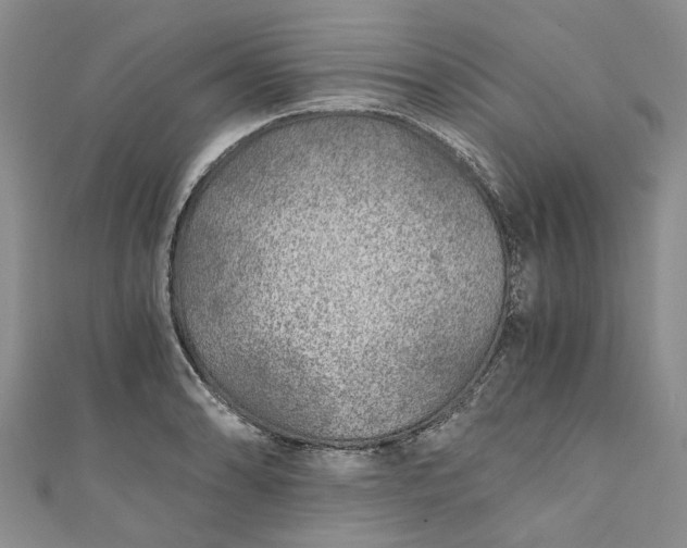 X0000110871086200907021431