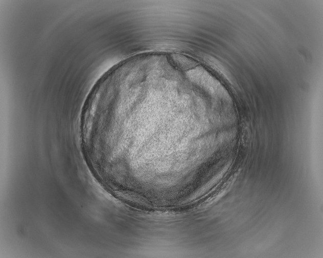 X0000110871087200907021431