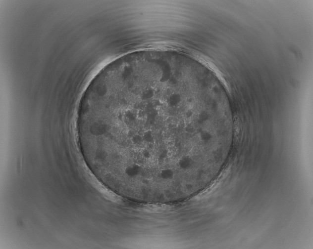 X0000110871091200907021431