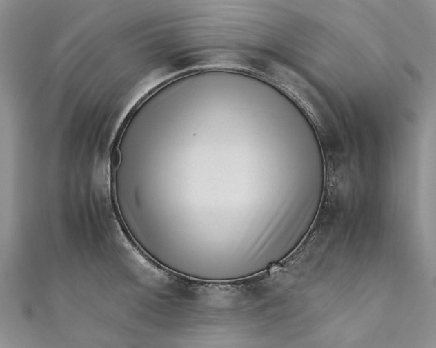 X0000110871092200907021431