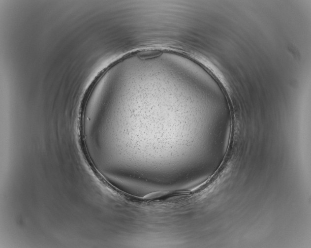 X0000110871093200907021431