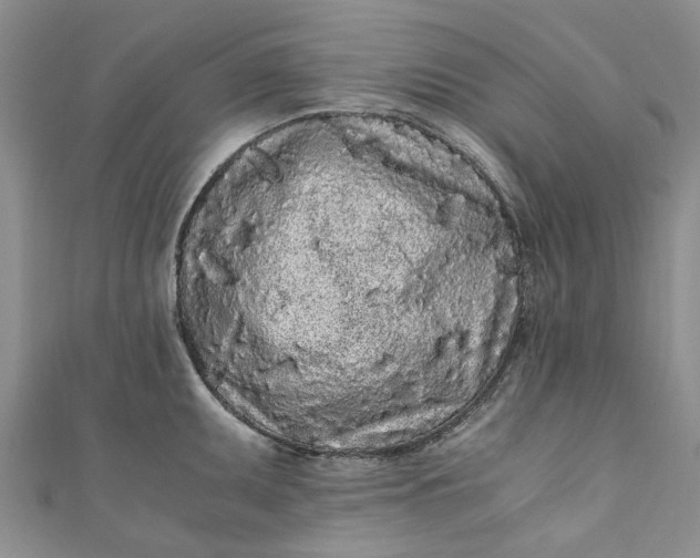 X0000110871095200907021431