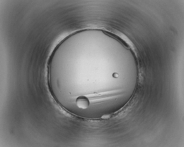 X0000110871096200907021431