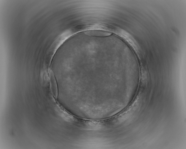 X0000110871097200907021431