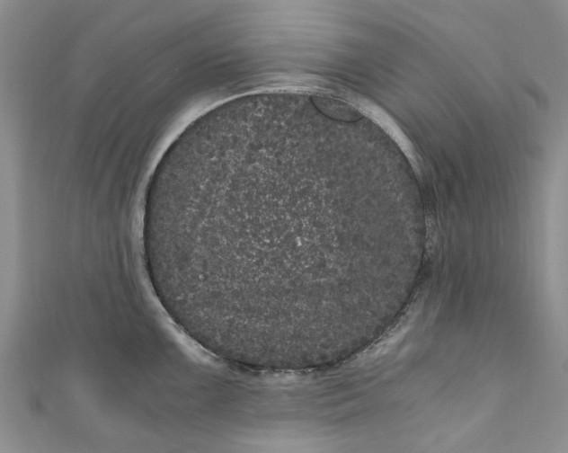 X0000110871099200907021431