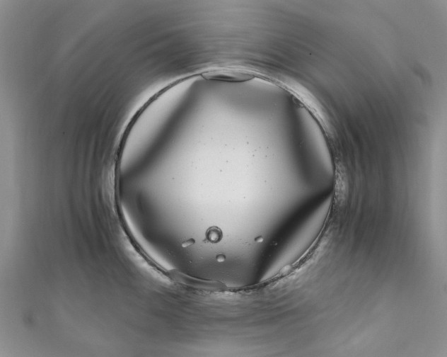 X0000110871100200907021431