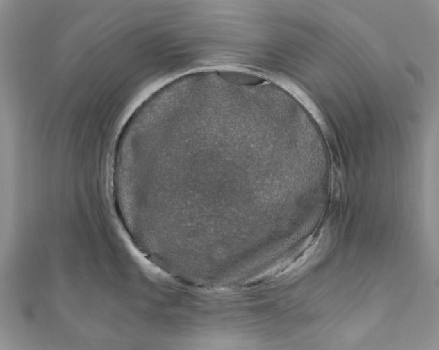 X0000110871101200907021431