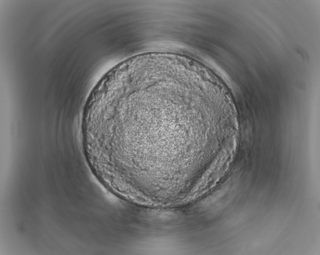 X0000110871103200907021431