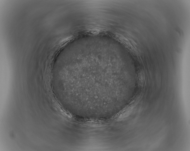 X0000110871105200907021430