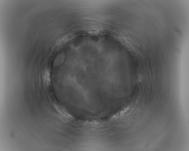 X0000110871106200907021430