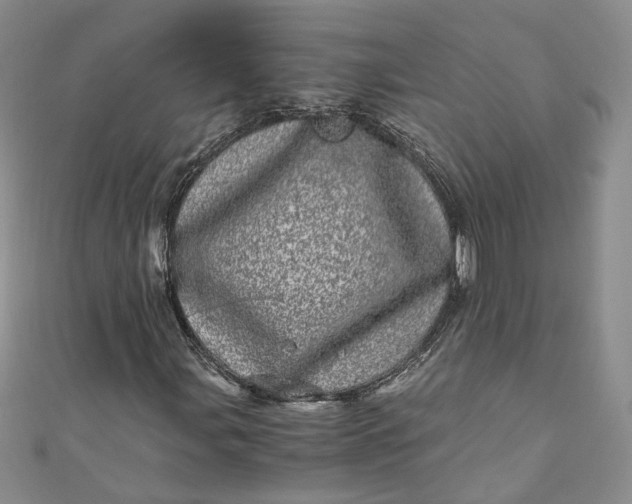 X0000110871107200907021430