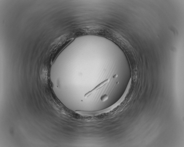 X0000110871108200907021430