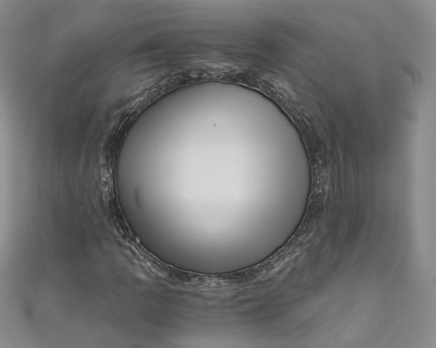 X0000110871109200907021430