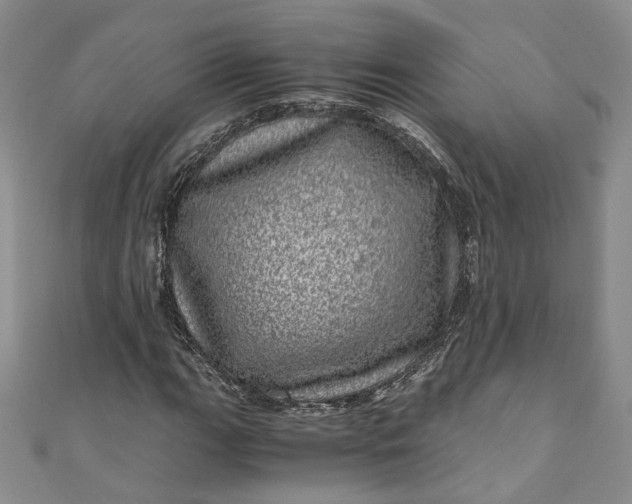 X0000110871111200907021430