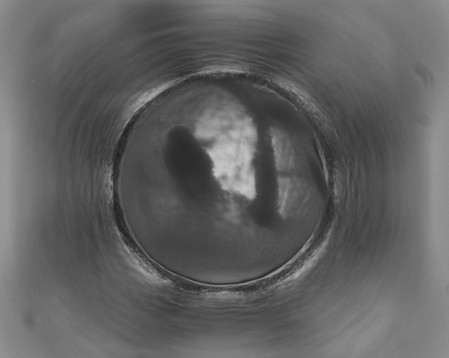 X0000110871113200907021430