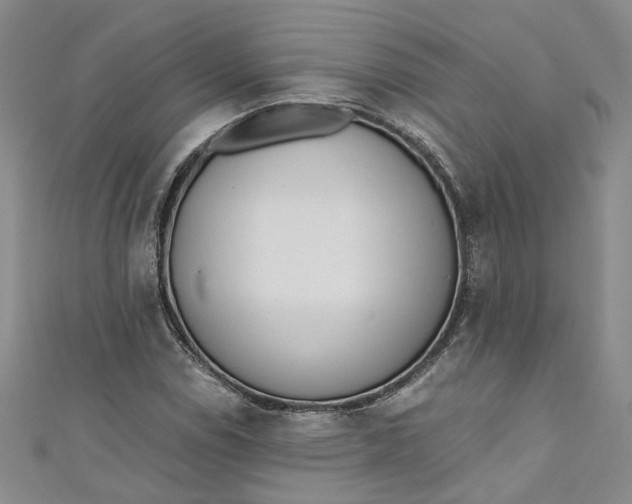 X0000110871114200907021430