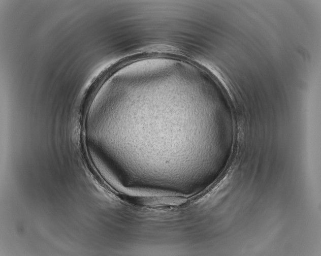 X0000110871115200907021430