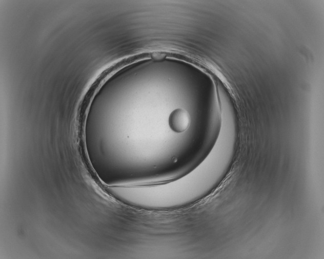 X0000110871116200907021430