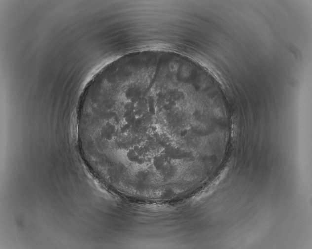 X0000110871117200907021431