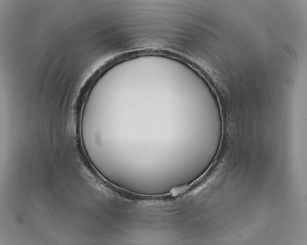 X0000110871118200907021431