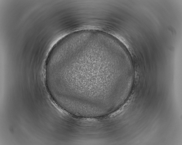 X0000110871119200907021431