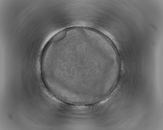 X0000110871120200907021431