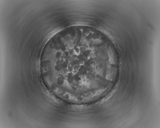 X0000110871121200907021431