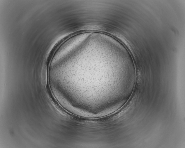 X0000110871123200907021431