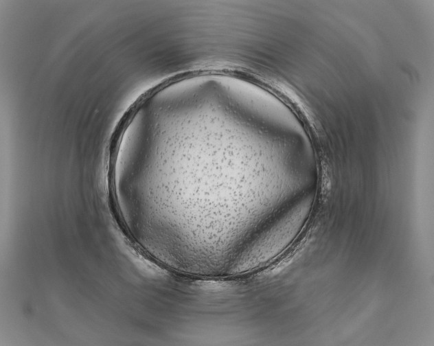 X0000110871124200907021431