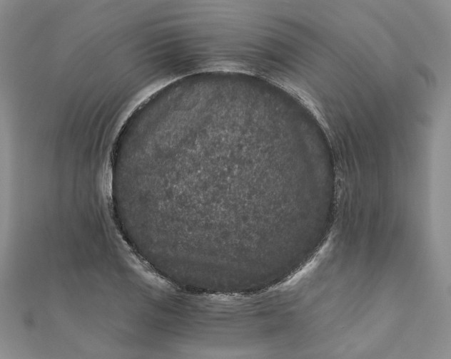 X0000110871125200907021431