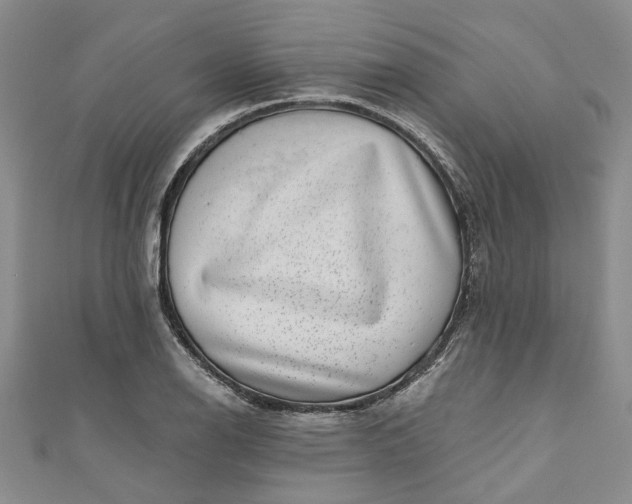 X0000110871126200907021431