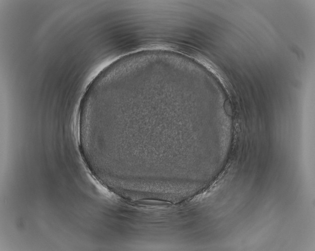 X0000110871127200907021431