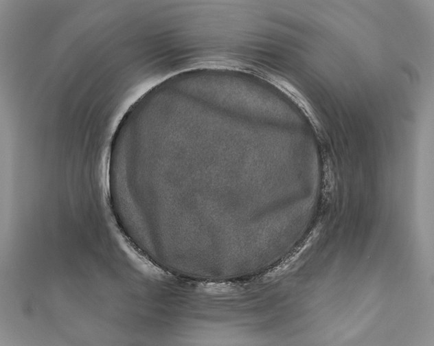 X0000110871128200907021431