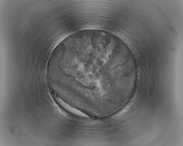 X0000110871129200907021431