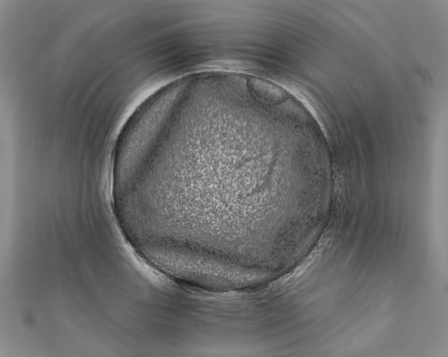 X0000110871131200907021431