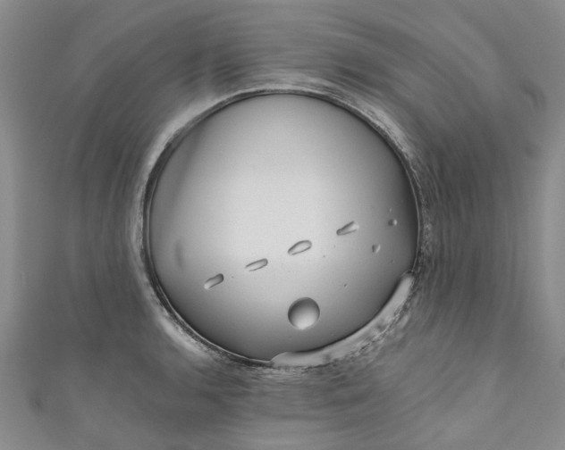 X0000110871136200907021431