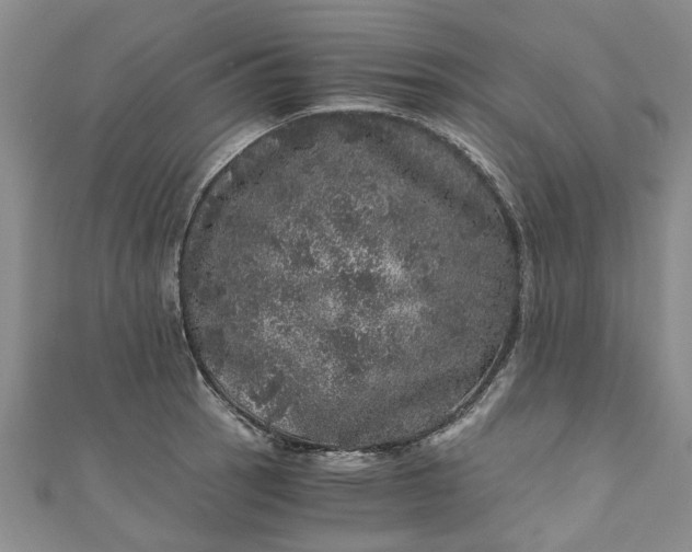 X0000110871137200907021431