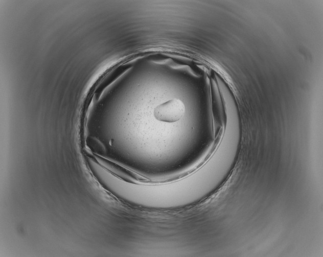 X0000110871138200907021431