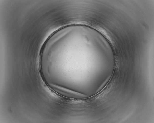 X0000110871140200907021431