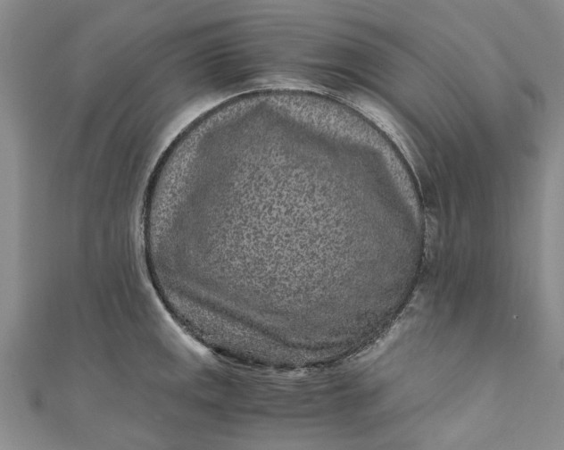 X0000110871141200907021431