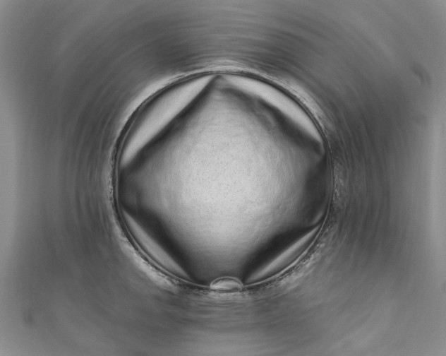 X0000110871142200907021431