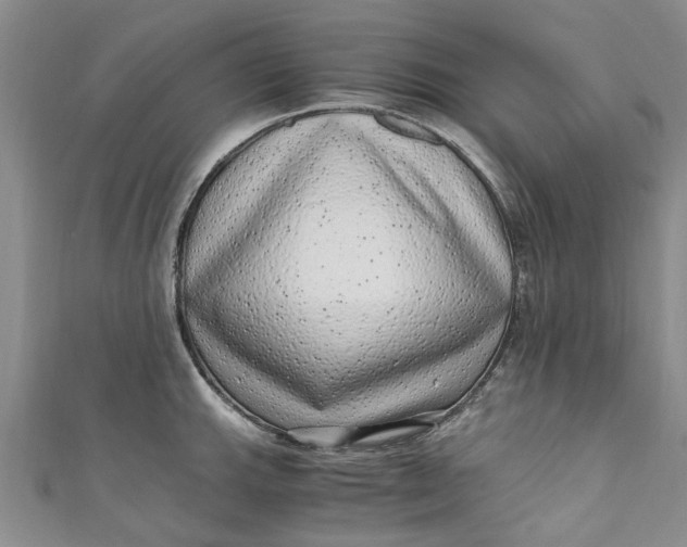 X0000110871143200907021431