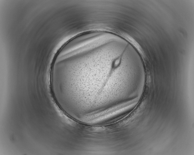 X0000110871144200907021431