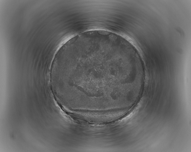 X0000110871145200907021431