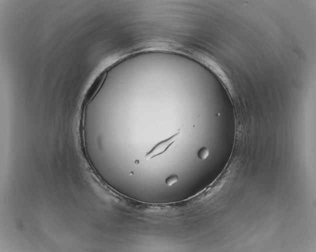 X0000110871146200907021431